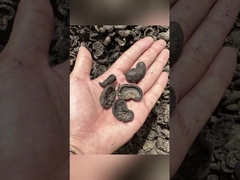 เครื่องผลิตเม็ดพลาสติก