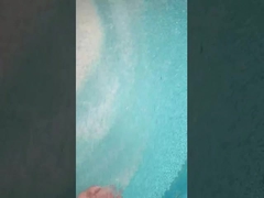 เครื่องบดหอมหอม